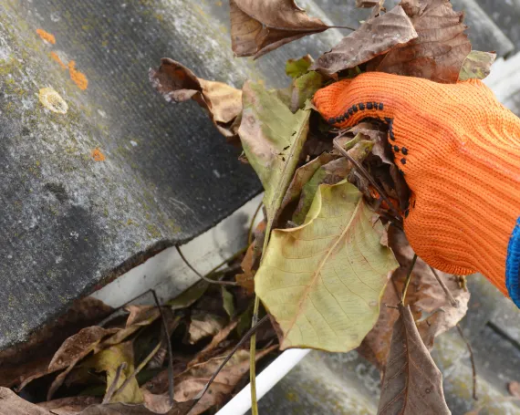 Cleaner Gutters That Help Prevent Costly Water Problems