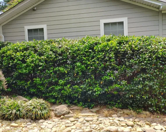 Schedule Trimming That Keeps Things Under Control