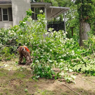 Storm Cleanup & Debris Removal Slider